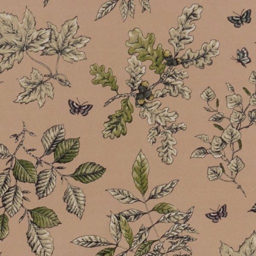 Ткань Clarke and Clarke fabric F1329/01Hortus