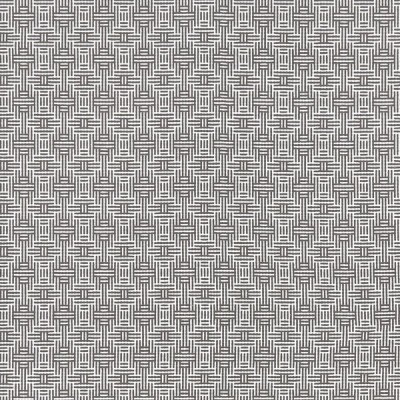 Ткань Clarke and Clarke fabric F1438/01Aztec