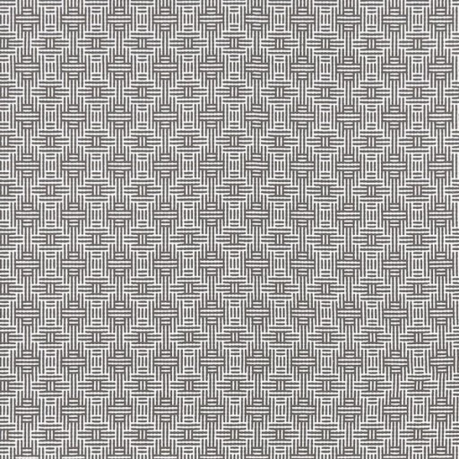 Ткань Clarke and Clarke fabric F1438/01Aztec