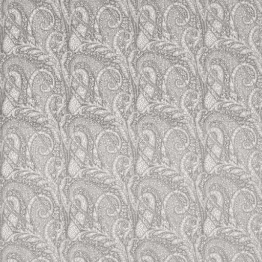 Ткань Clarke and Clarke fabric F1658/01Palacio