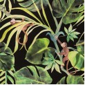 Exotica 2 