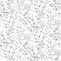 Anthozoa