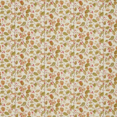 Ткань Sanderson fabric DWOW225530 