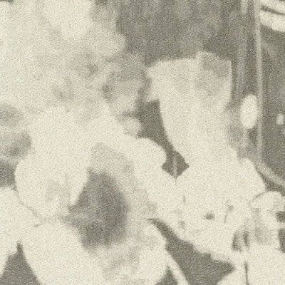 Обои Rubelli 23003-1 