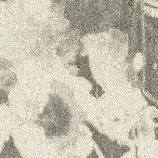 Обои Rubelli, коллекция The Walls of Venice I, артикул 23003-1