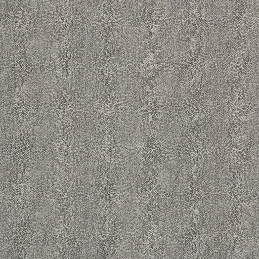 Обои Pierre Frey, коллекция Graminees 3, артикул FP463001