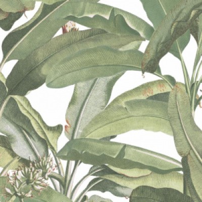 Обои Aura MH36534 