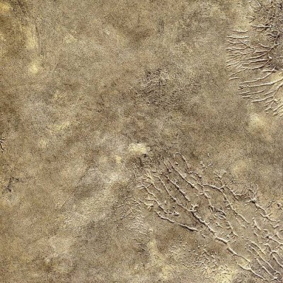 Обои Eugenio Colombo 4GEC 