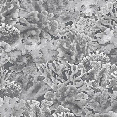 Обои Aura FH37503 