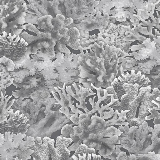 Обои Aura, коллекция Farmhouse, артикул FH37503