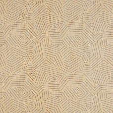 Обои Pierre Frey FP531004 