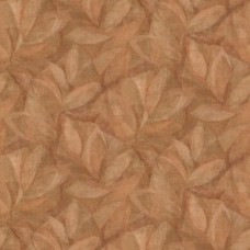 Обои Omexco OAS202 