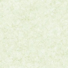 Обои Aura PP35518
