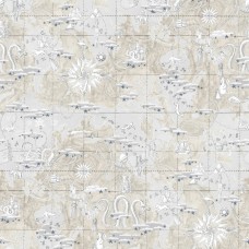 Обои Pierre Frey FP481002 