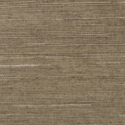 Обои CMO WSI 01 15 