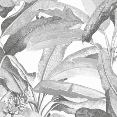 Обои Aura MH36533 