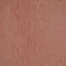 Обои Pierre Frey FP529009 