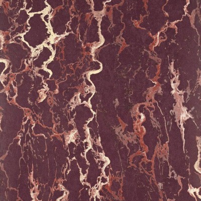 Обои Pierre Frey FP447004 Обои Pierre Frey FP447004