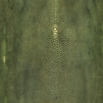 Обои Lelievre 3326-04 Обои Lelievre 3326-04