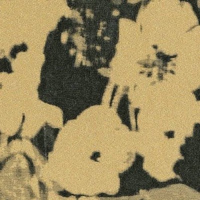 Обои Rubelli 23003-3 