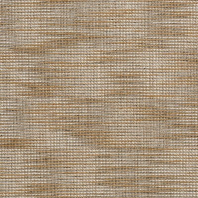 Обои Pierre Frey FP460002 