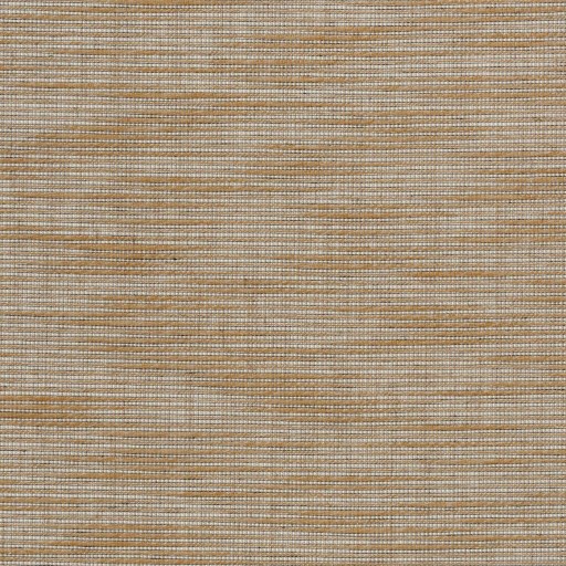 Обои Pierre Frey, коллекция Graminees 3, артикул FP460002