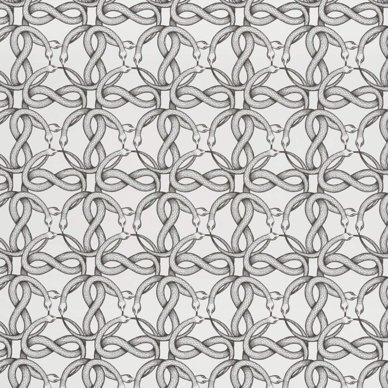 Обои Pierre Frey FP550001 Обои Pierre Frey FP550001