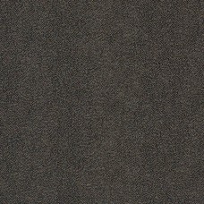 Обои Pierre Frey FP463002 