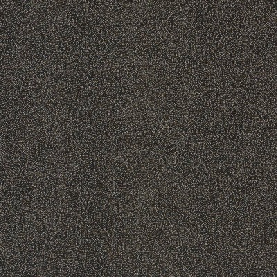 Обои Pierre Frey FP463002 Обои Pierre Frey FP463002