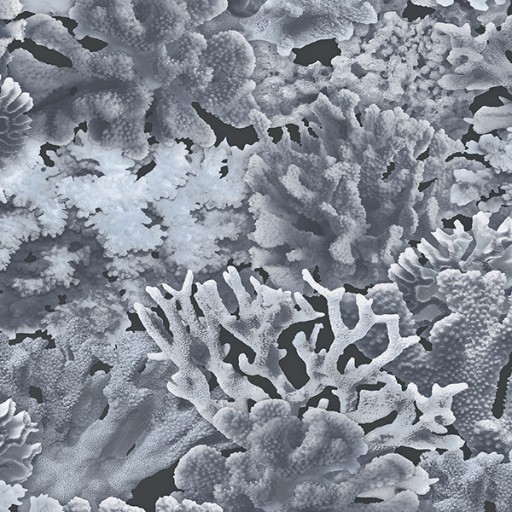 Обои Aura, коллекция Farmhouse, артикул FH37504