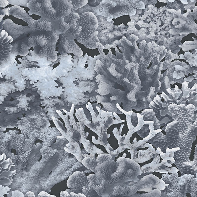 Обои Aura FH37504 