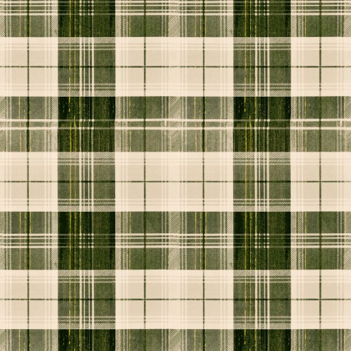 Обои Mindthegap, коллекция Transylvanian Roots, артикул WP30010