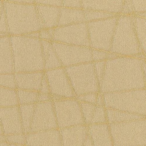 Обои Rubelli, коллекция The Walls of Venice I, артикул 23004-6