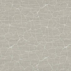 Обои Pierre Frey FP469001 