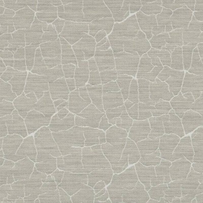 Обои Pierre Frey FP469001 