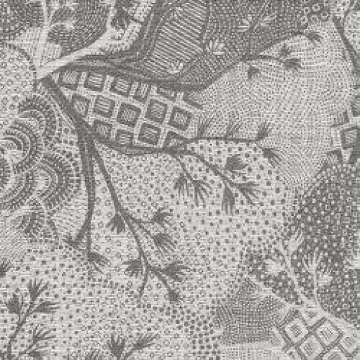 Обои Jwall, коллекция Tatami, артикул W0550435