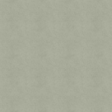 Обои Aura MWCH205 