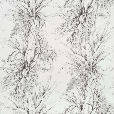 Обои Pierre Frey FP549001 