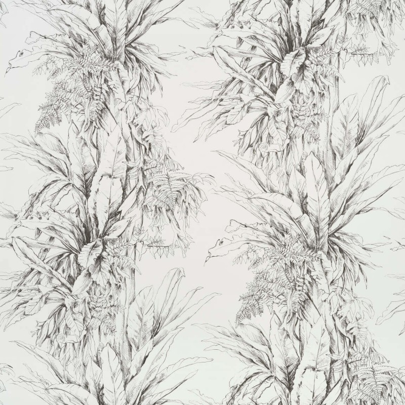 Обои Pierre Frey FP549001 Обои Pierre Frey FP549001