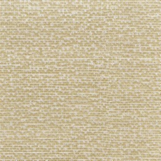 Обои Rubelli, коллекция The Walls of Venice III, артикул 23021-004