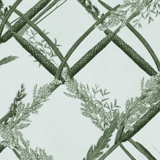 Обои WP30162 Ornamental Reed by MINDTHEGAP