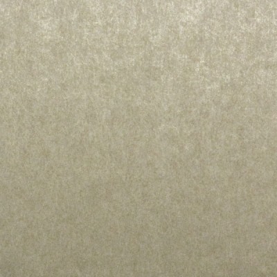 Обои Omexco PAL4975 