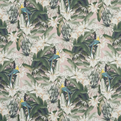 Обои Pierre Frey FP540002 