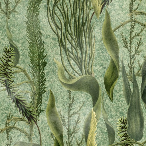 Обои WP20717 Aquatic Plants by MINDTHEGAP