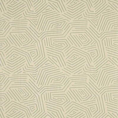 Обои Pierre Frey FP531003 