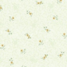 Обои Aura PP35514