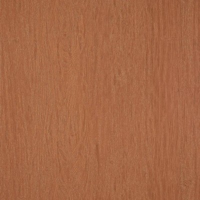 Обои Pierre Frey FP529014 Обои Pierre Frey FP529014