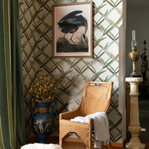 Обои Mindthegap, коллекция The Wetlands, артикул WP30161