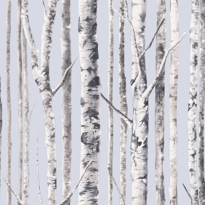 Обои Mayflower FJ020114 