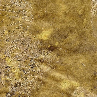 Обои Eugenio Colombo 1AEC 